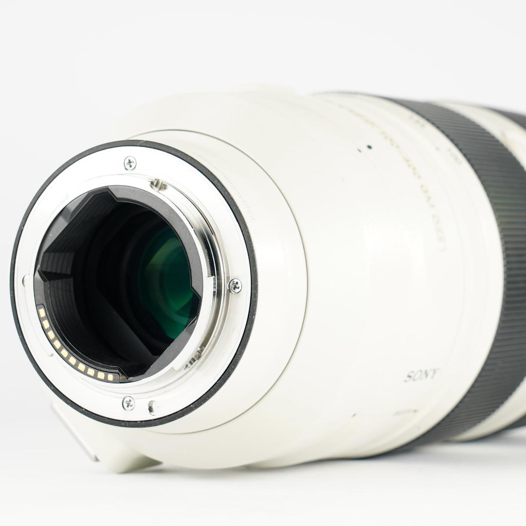 プロ愛用｜SONY SEL100400GM 家族の最高の瞬間を逃さない 398