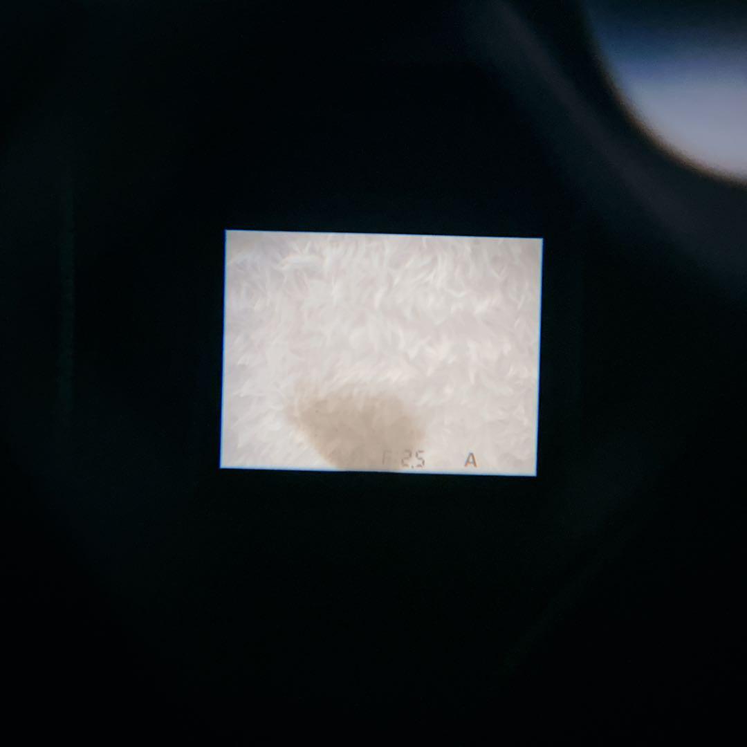 【美品】FUJIFILM X20 シルバー デジタルカメラ FX-X20S