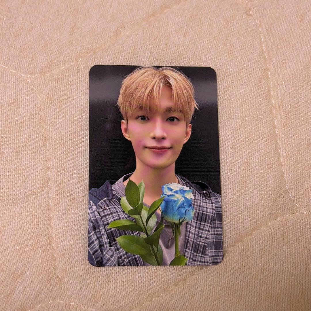 SEVENTTEEN D×S サノク　トレカ　ドギョム