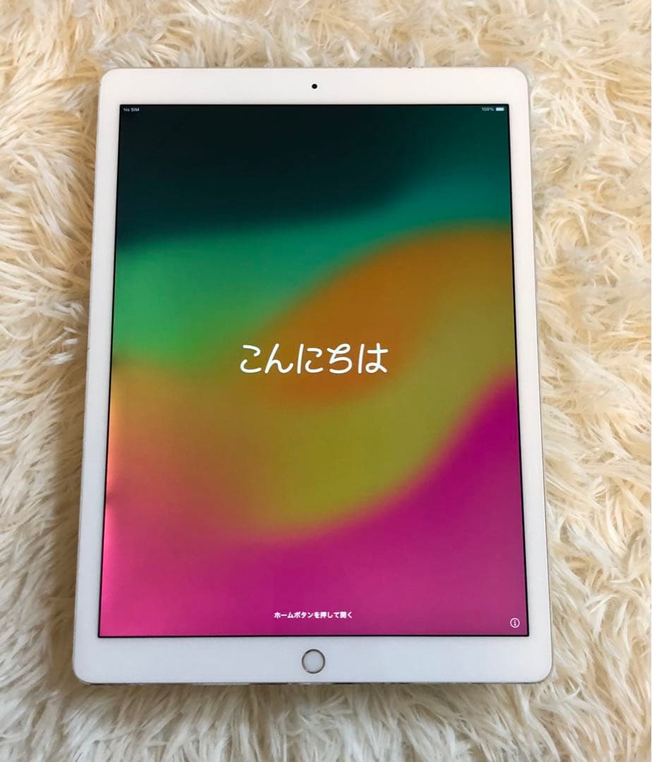 【完動品】iPad Pro 12.9 第2世代 256GB 【即発送】