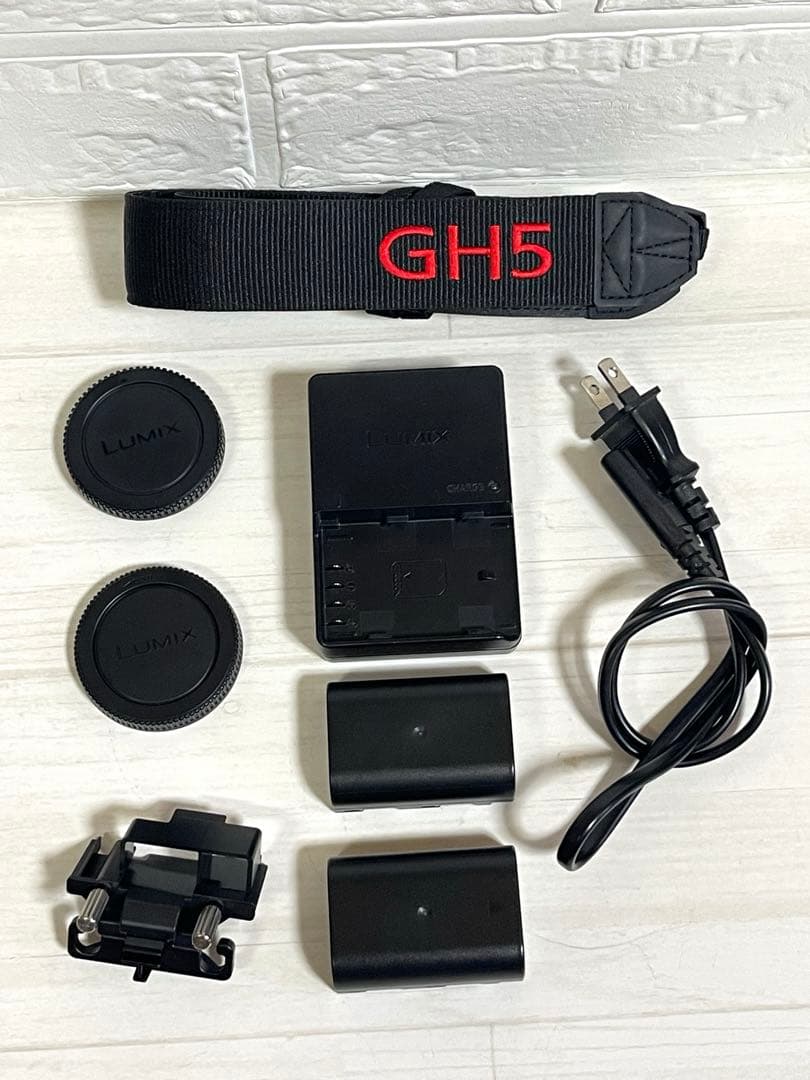 Panasonic LUMIX DC-GH5 レンズセット