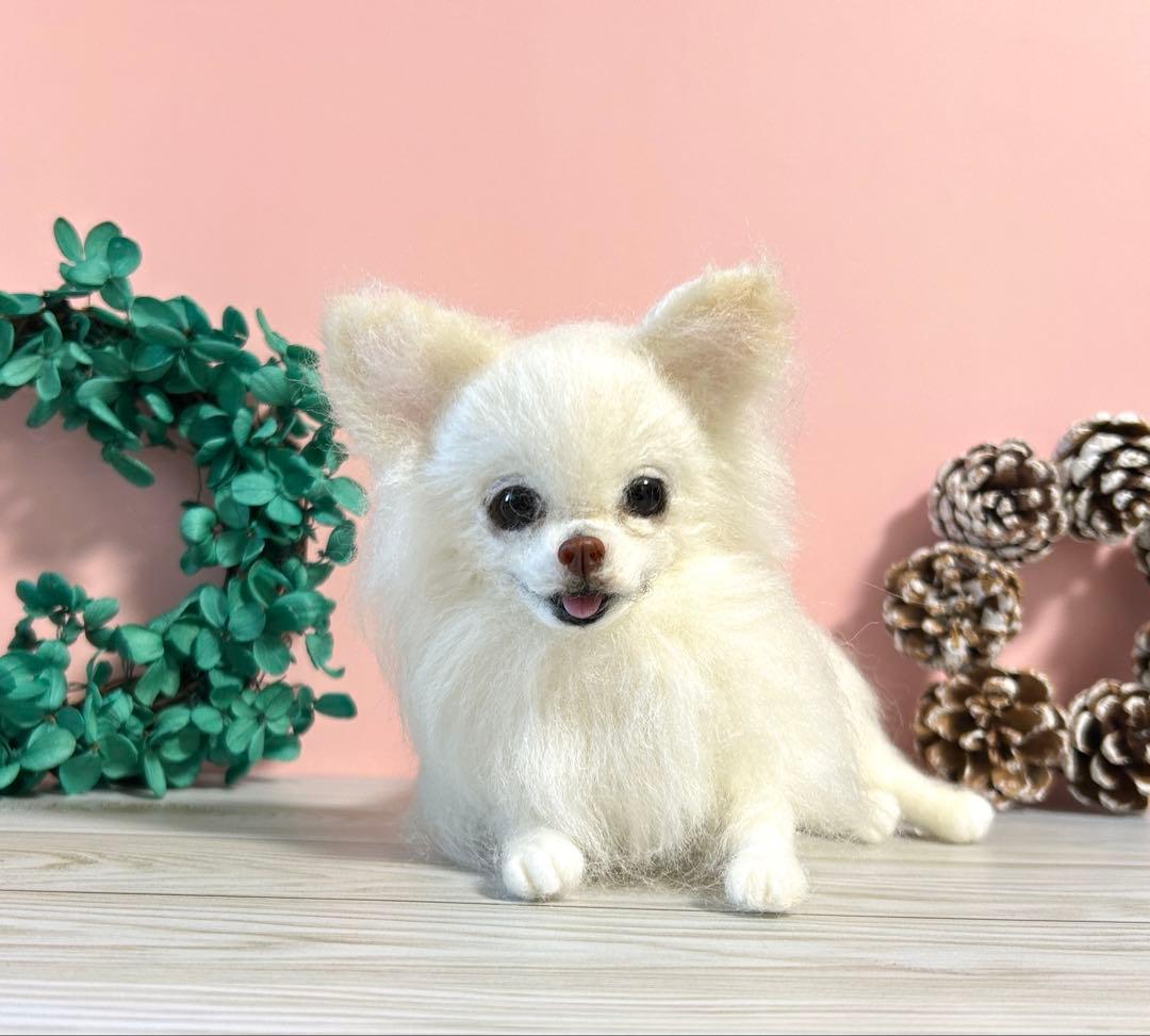 羊毛フェルト　リラックスチワワちゃん　6