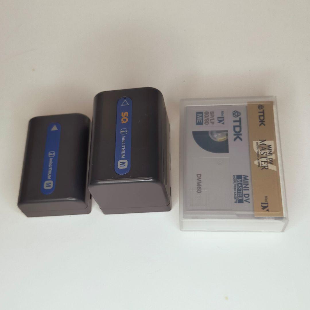 (栗拾い)SONY DCR·TRV30