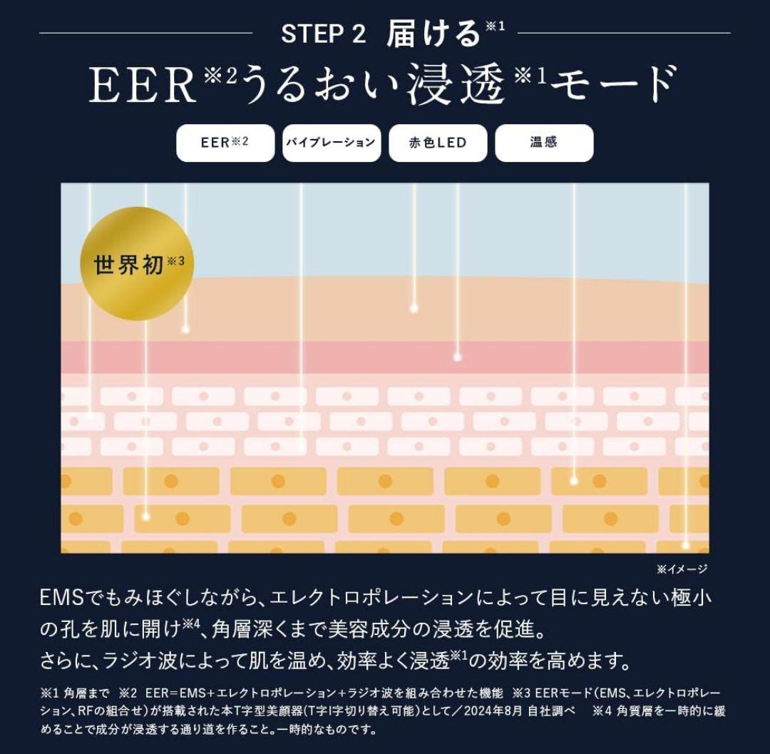 Dism 次世代美顔器 EMS EER