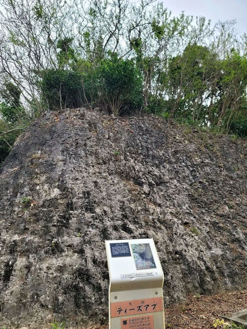 A理想の人生と美貌★チャクラオルゴネックレス