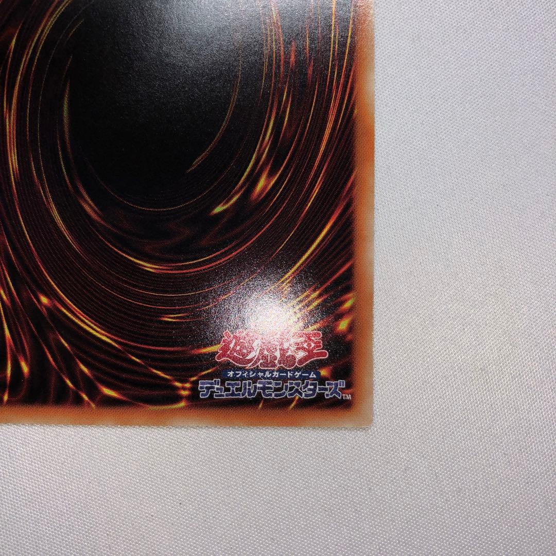 雷神龍 サンダードラゴン 20th シークレット シク