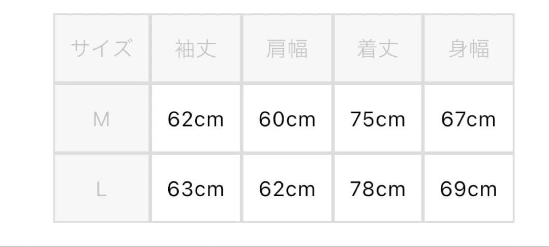 専用Reebok バックロゴ ナイロン 上下 アノラックパーカー トラックパンツ