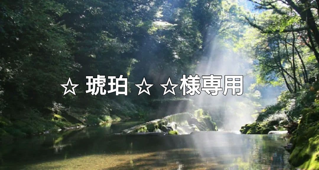 ✰︎‪ 琥珀 ✰ ✰︎✨2本　特典付電磁波防止✨CMCペンダントUSA版