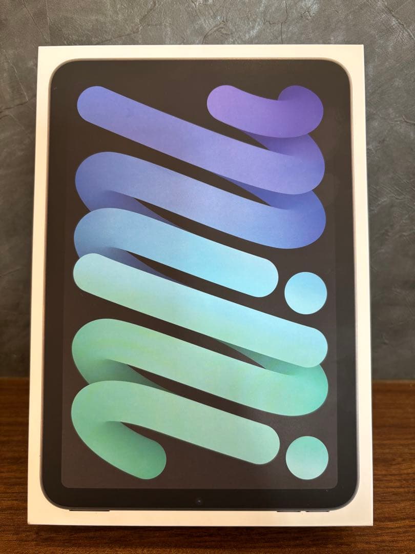 【美品】iPad mini A17 Pro 256GB Wi-Fiモデル