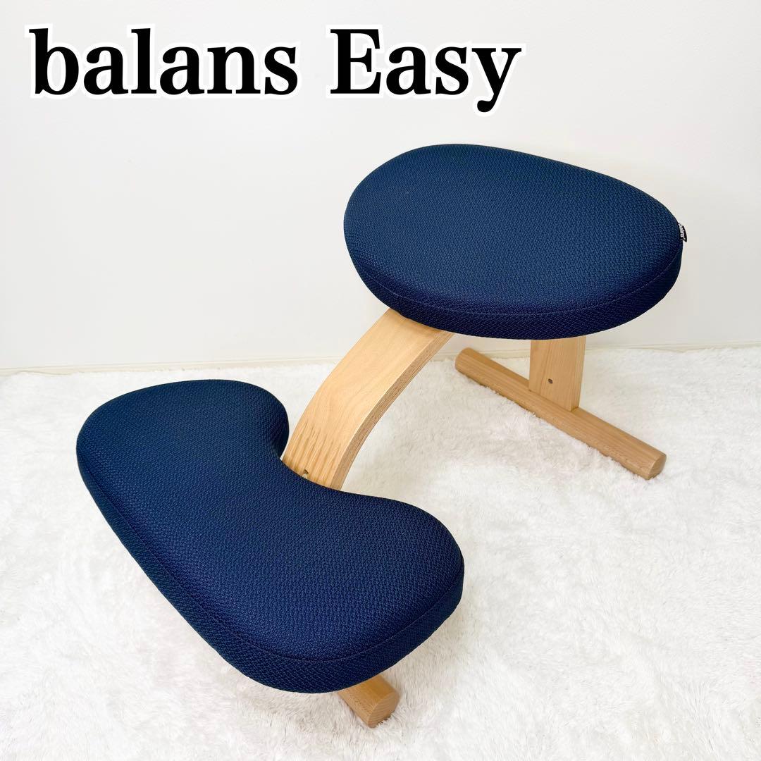 未使用級 balans lab バランスイージー ショートフレーム カバー付き