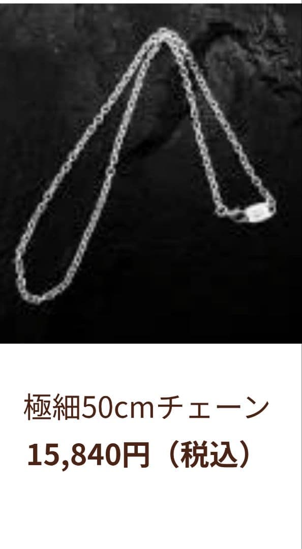 美品アリゾナフリーダム極細50cmネックレスチェーンフック付
