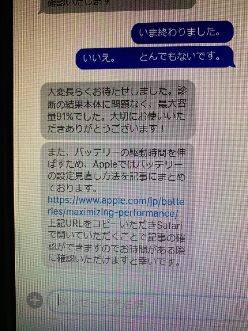 iPad本体 iPad mini5 256GB Cellular