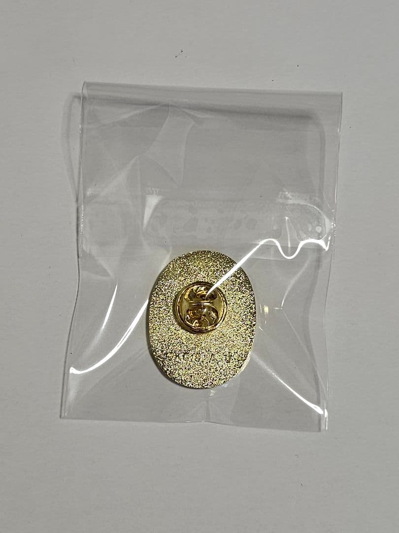 鬼滅の刃　柱展　冨岡義勇　ピンズ