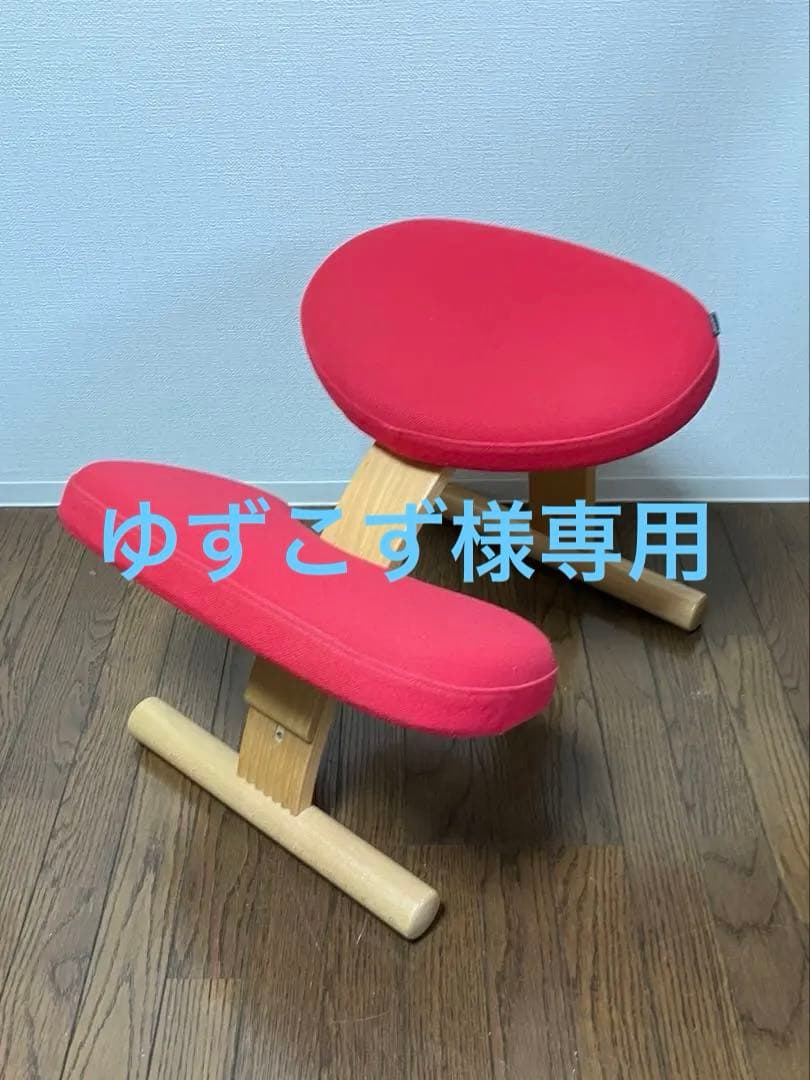 バランスイージー ショートフレーム 赤　サカモトハウス