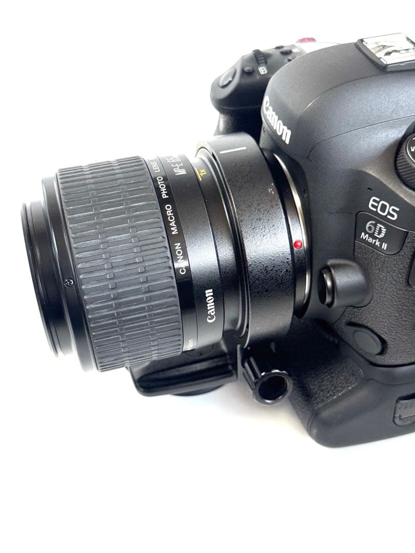 キャノンマクロフォトレンズMP-E65mmF2.8 1-5X