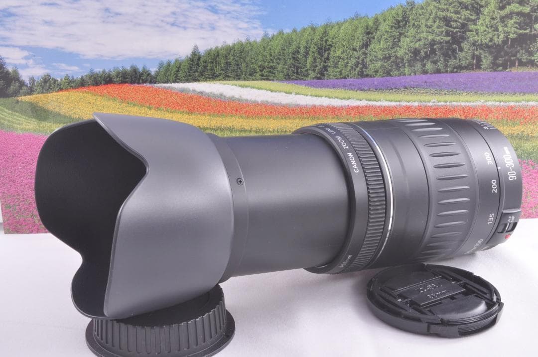 大切な記録を望遠で！ Canon キヤノン EF90-300mm 望遠レンズ♦8