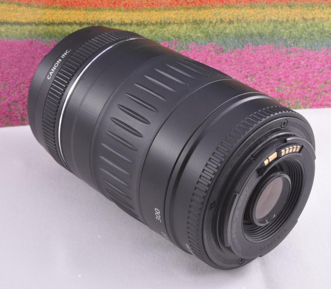 大切な記録を望遠で！ Canon キヤノン EF90-300mm 望遠レンズ♦8