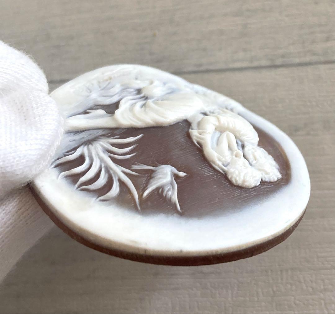 カメオ　シェル　ルース　母親と子供