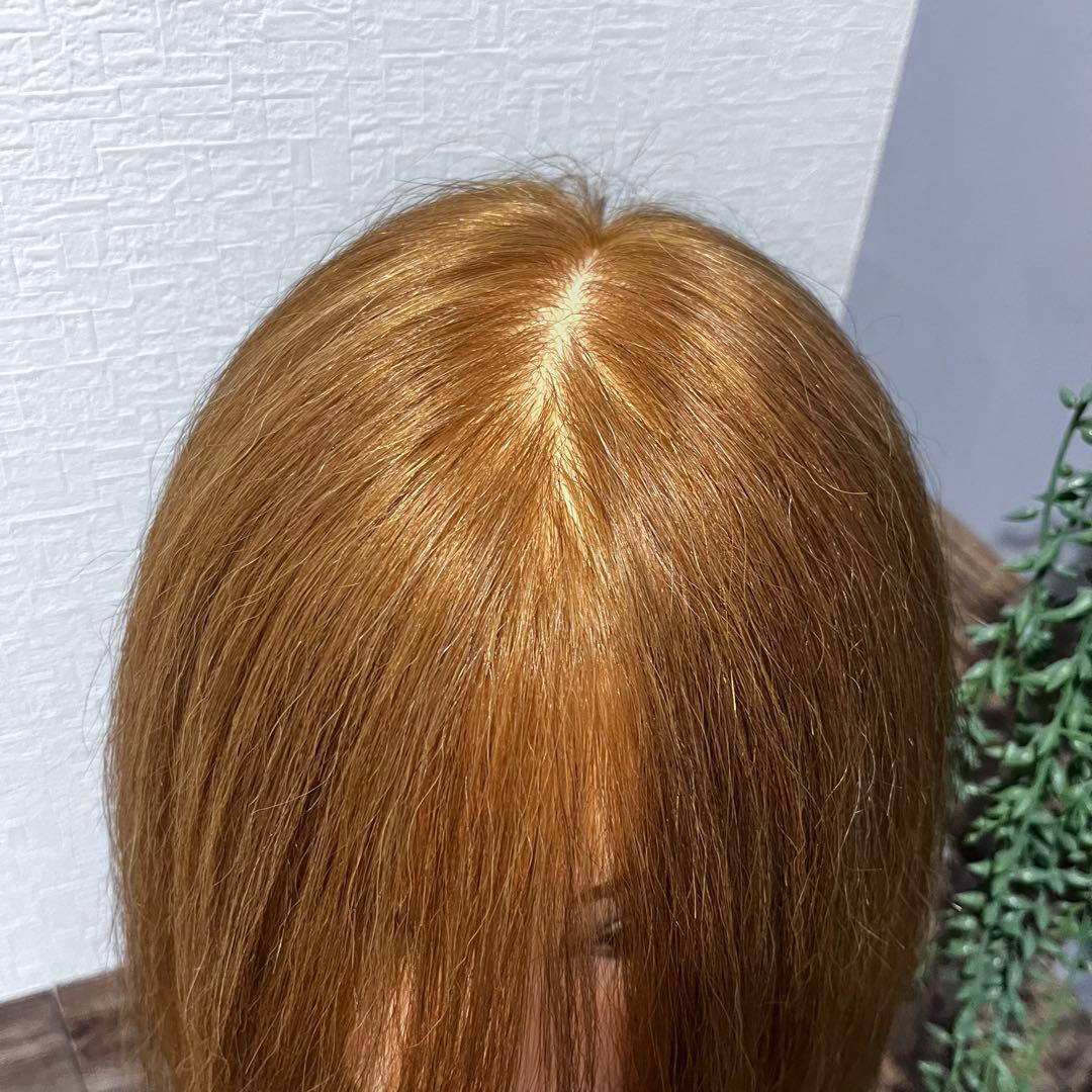 アイビル アップウィッグ ＃295 ブラウン 人毛100％