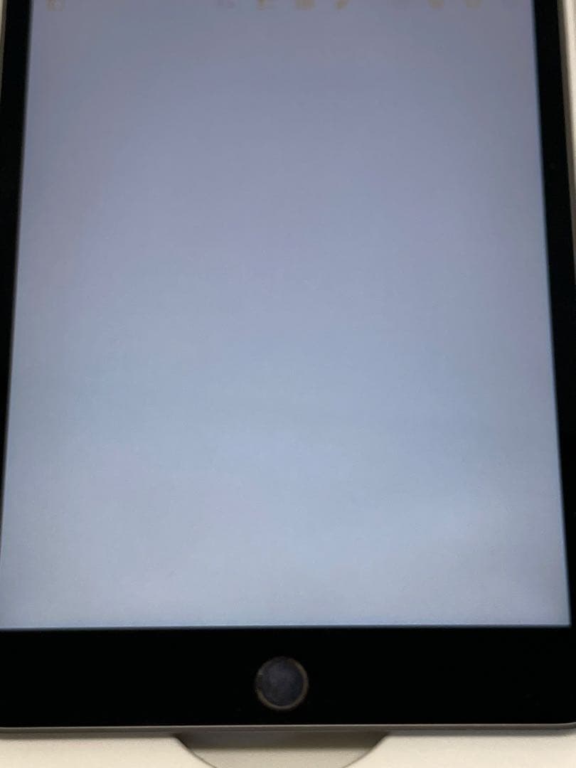 iPad mini 第5世代 256GB Wi-Fi ＋ Cellular