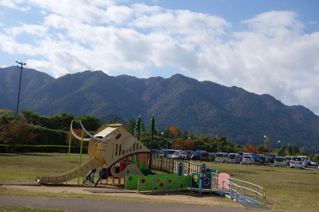 SONY サイバーショット DSC-QX100 コンパクトデジタルカメラ