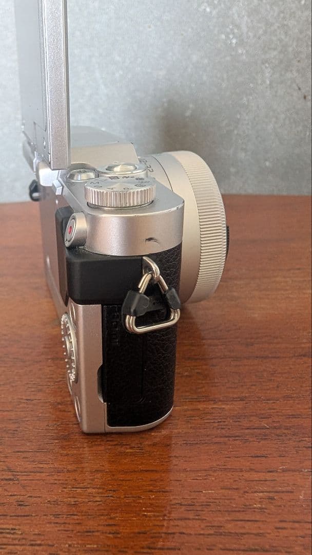 LUMIX G ミラーレス一眼カメラ レンズ2本付き　DC-GF9W