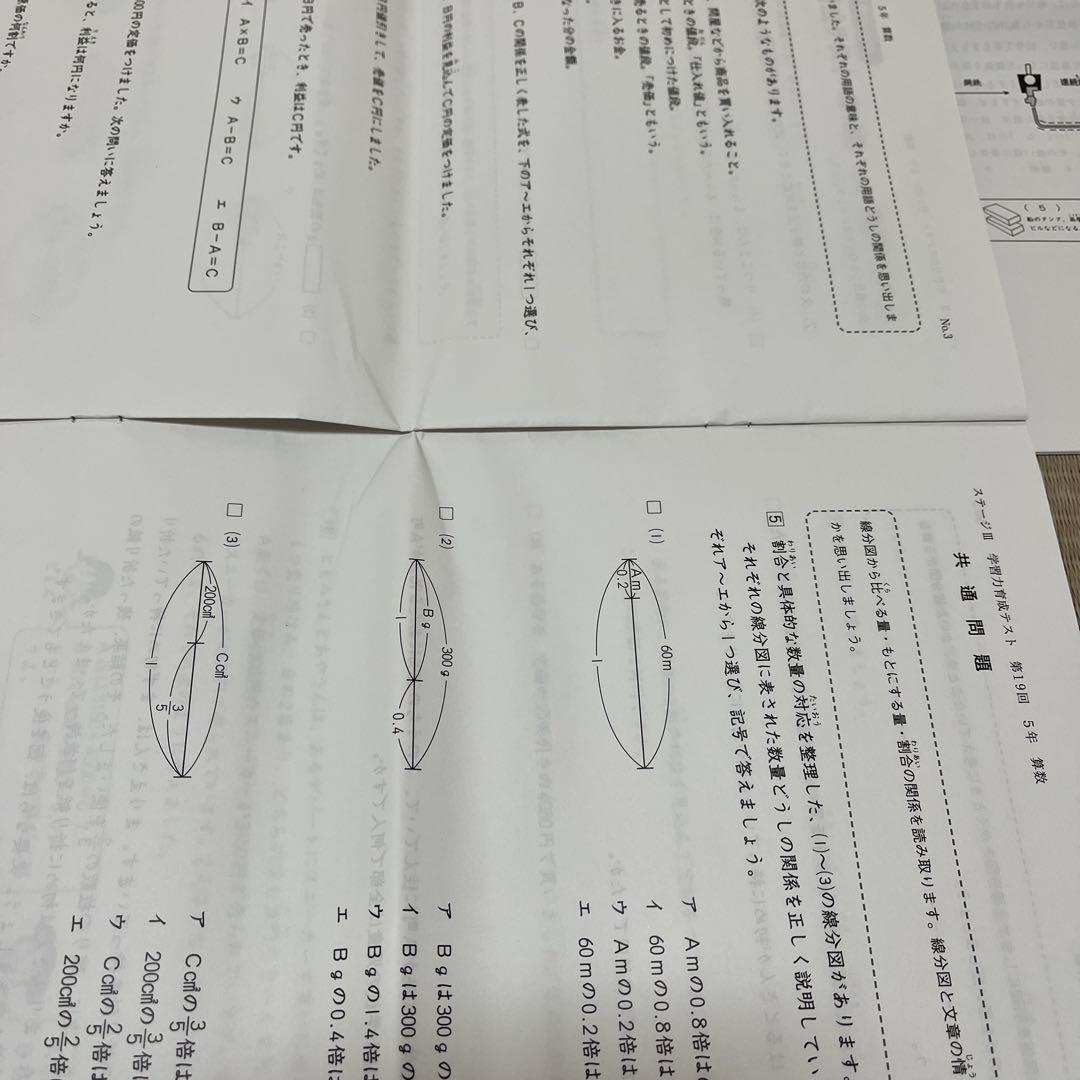 2025年 日能研 5年 ステージⅢ 育成テスト