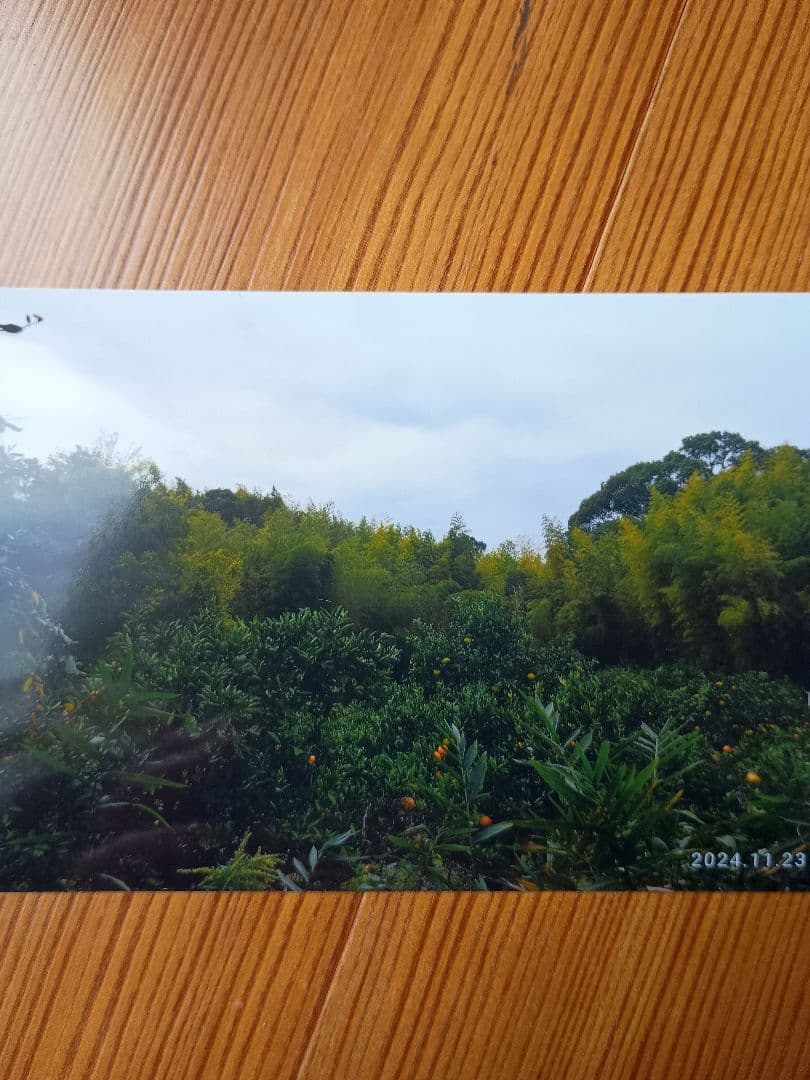 Nikon 一眼レフ 2台　レンズ18-55　18-200mm VR II