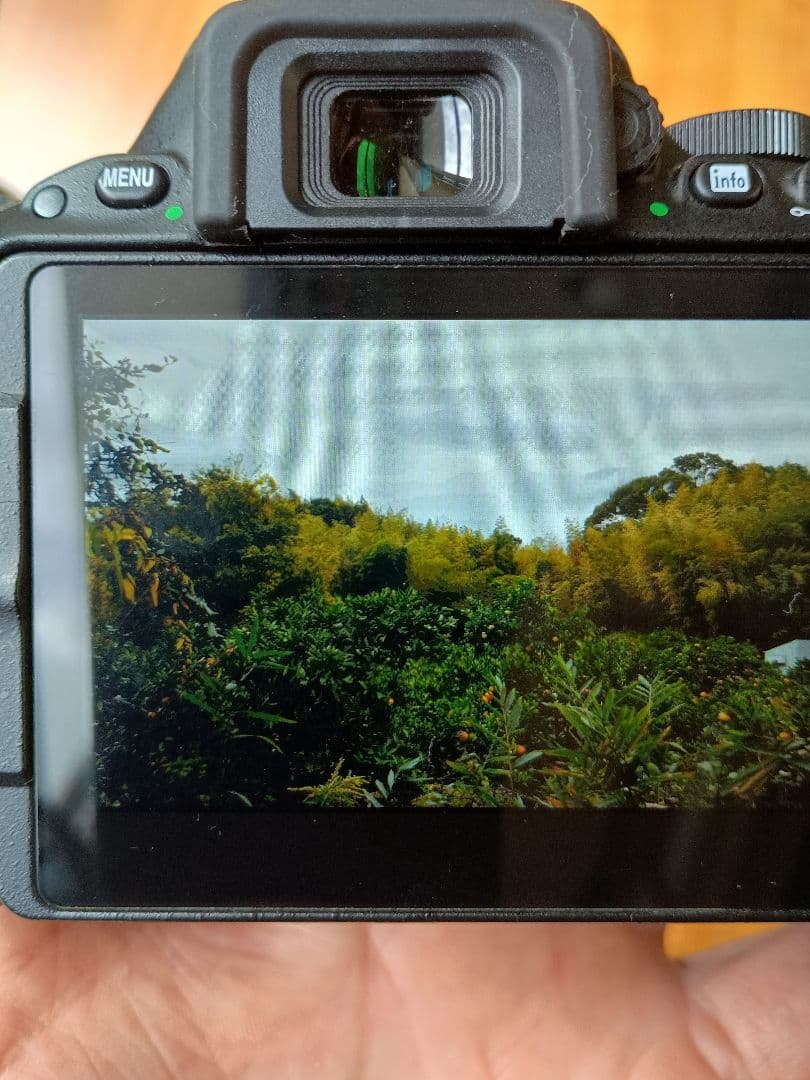 Nikon 一眼レフ 2台　レンズ18-55　18-200mm VR II