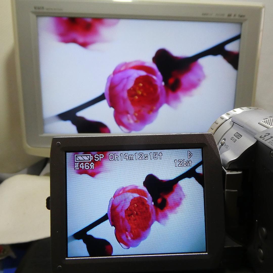 動作良好 パナソニック NV-GS100 MiniDVビデオカメラDVD化に最適