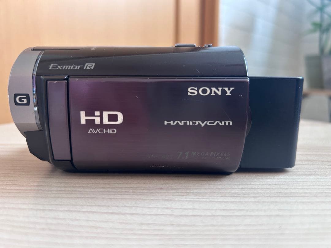SONY ハンディカム HDR-CX370V 本体＋バッテリー2個＋付属品
