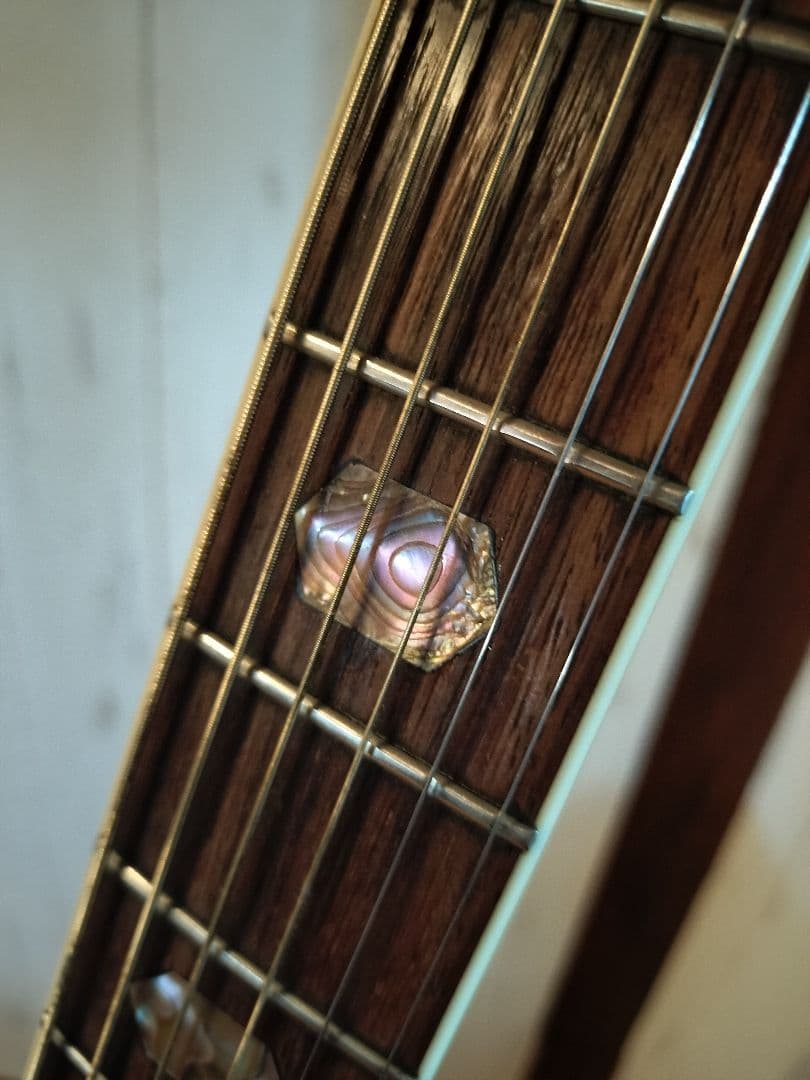 Morris TF-60　貴重　ハカランダ！　 ギグバッグ付き　今月で終了！