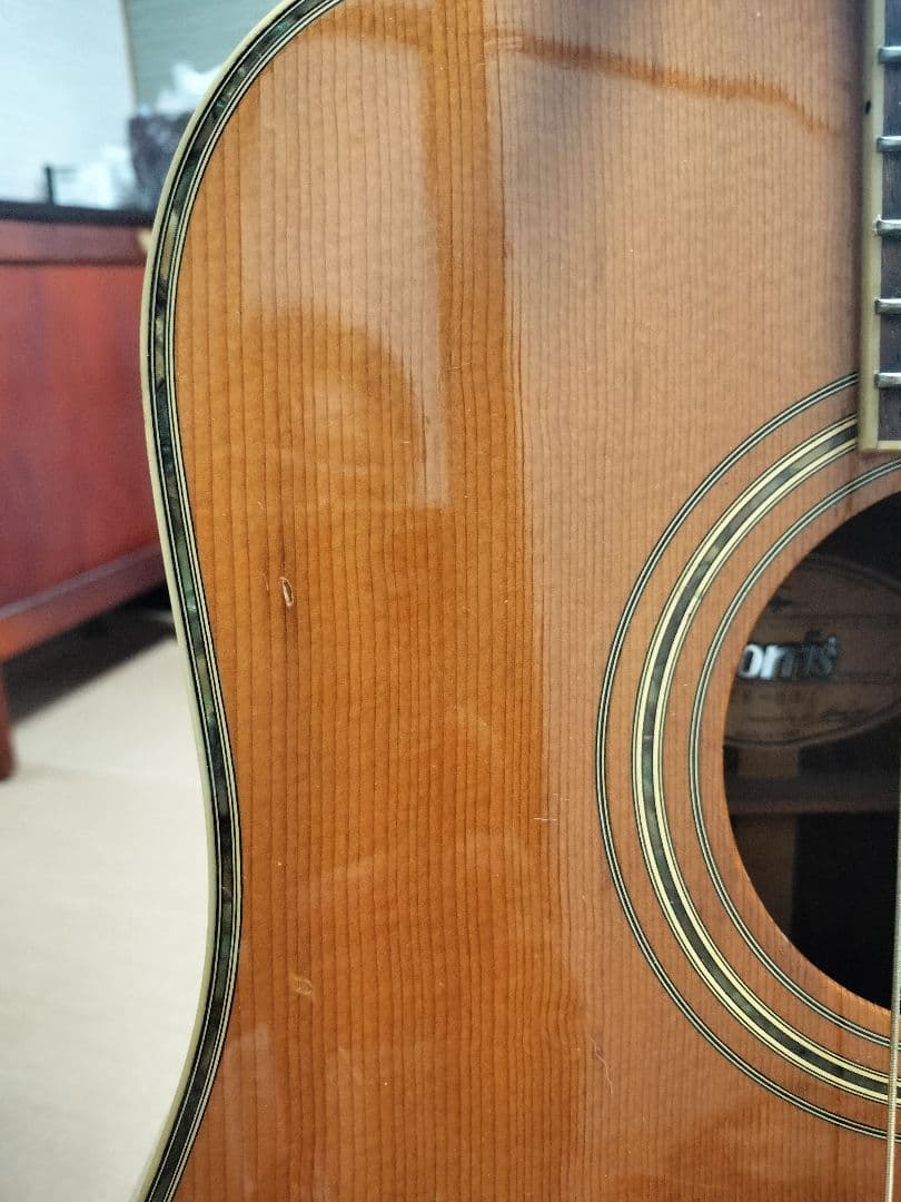 Morris TF-60　貴重　ハカランダ！　 ギグバッグ付き　今月で終了！