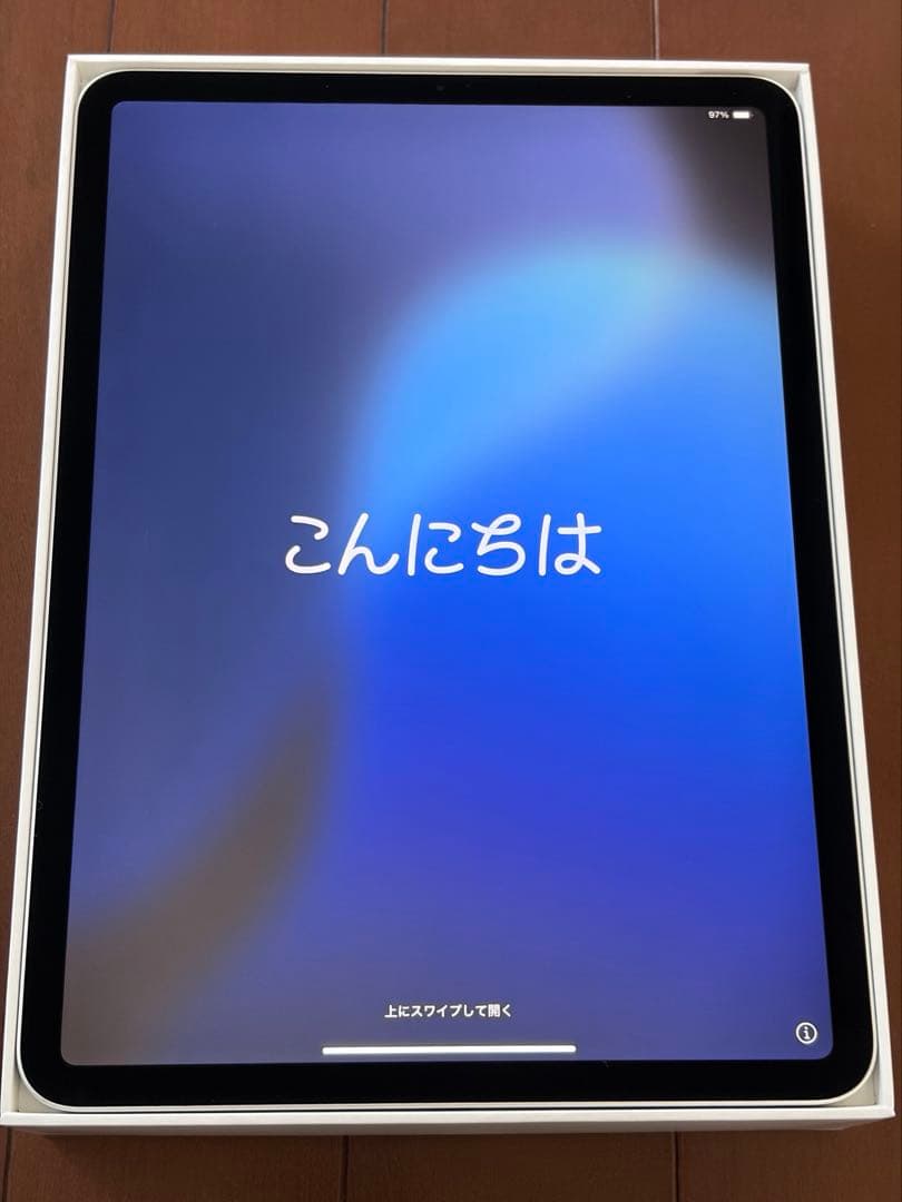 Apple iPad Pro (11インチ) 第2世代 256GB