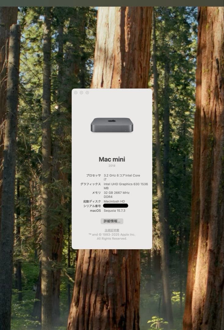 Macmini 2018 i7 メモリ32GB SSD512GB 初期化済