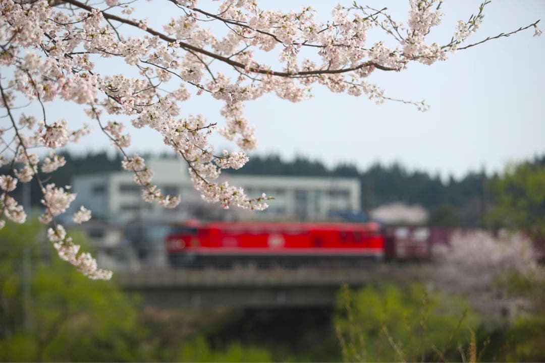 Canon EF 70-200mm F2.8L USM ジャンク