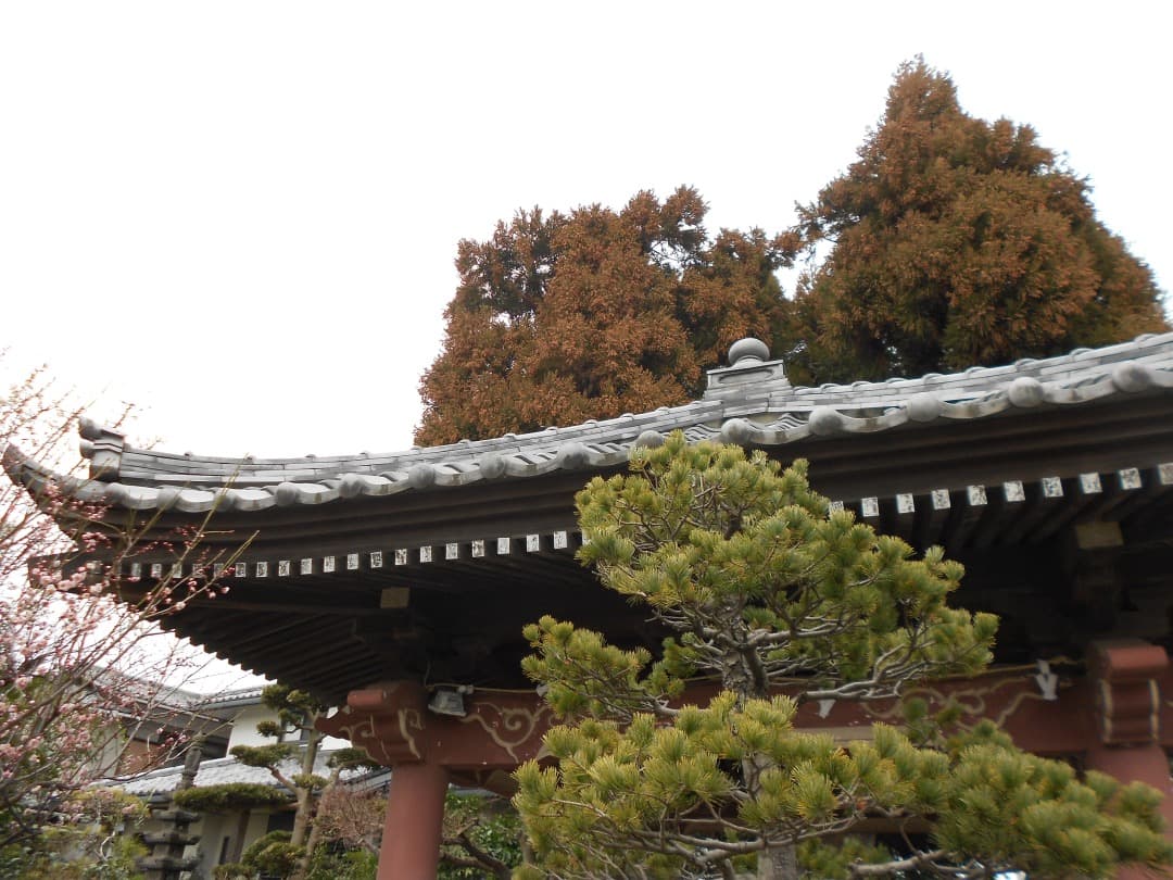 実写美⭕️【動作確認済】Nikon COOLPIX S3100 デジカメ