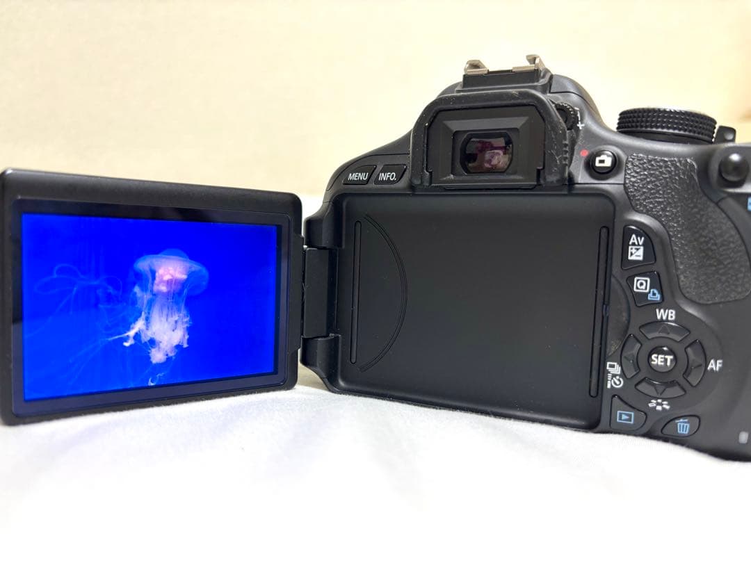 Canon EOS Kiss X5 ダブルズームキット 中古品