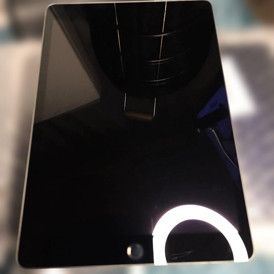 r*u様 ジャンク 第9世代 Wi-Fi+Cellular 256GB スペース