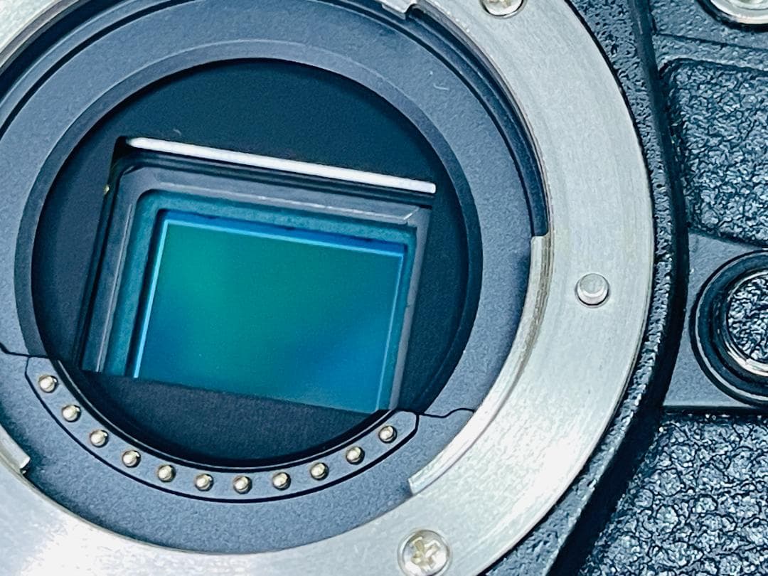 OLYMPUS OM-D E-M5 Mark II ミラーレス一眼カメラ