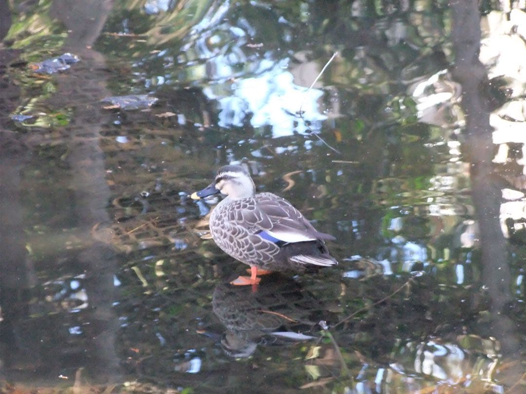 デジタルカメラ FUJIFILM FinePix S200EXR