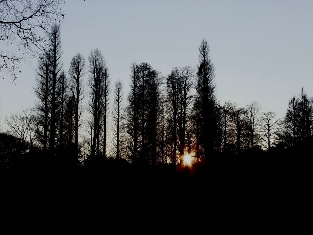 デジタルカメラ FUJIFILM FinePix S200EXR