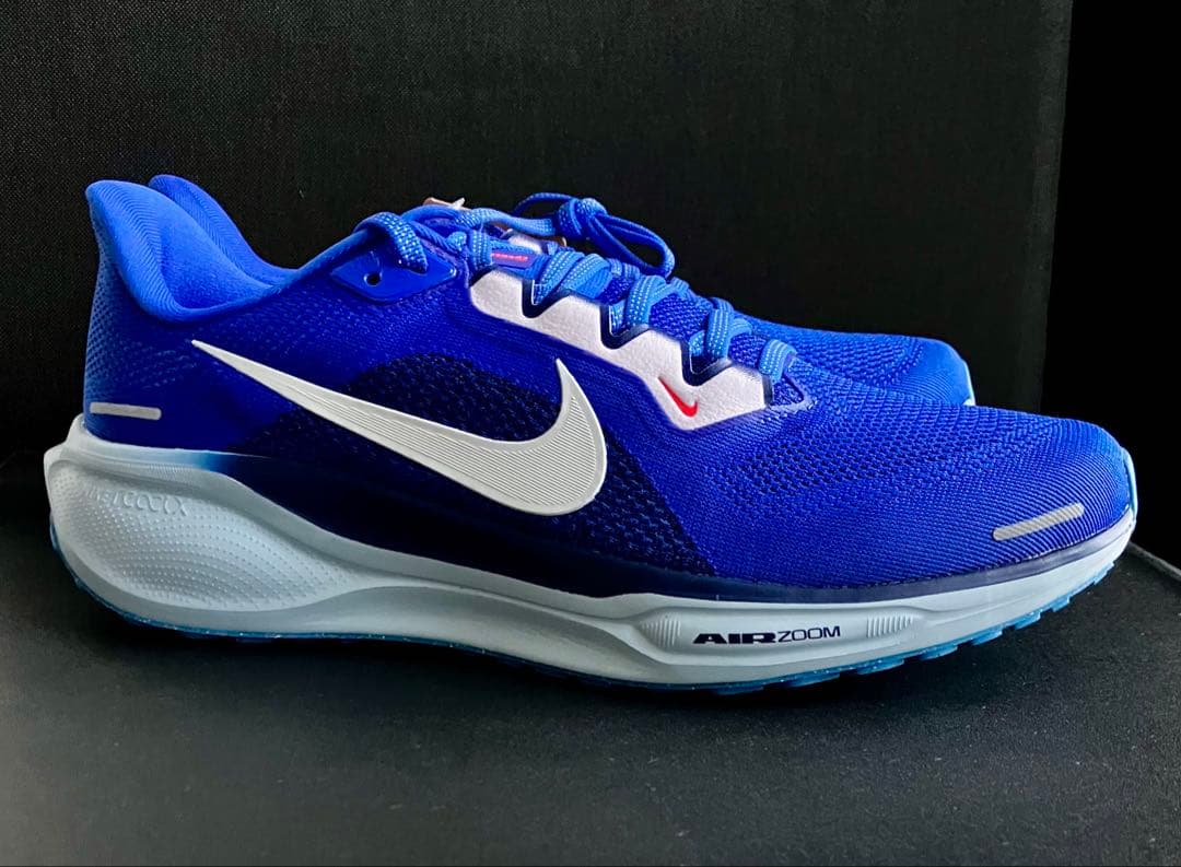 （廃番カラー、完全未使用品）NIKE エアズーム ペガサス 41