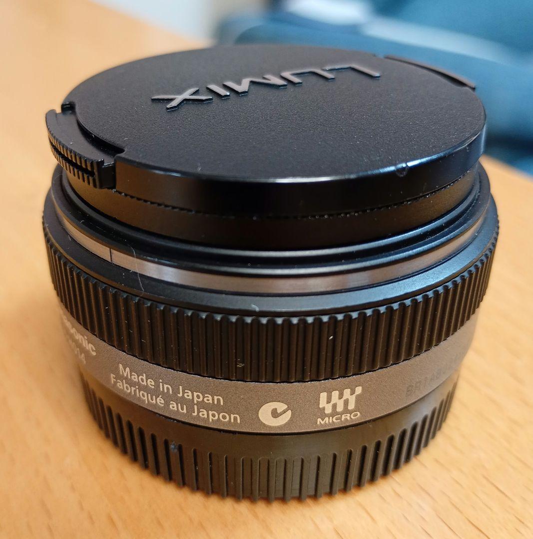 Panasonic LUMIX G H-H014 マイクロフォーサーズ