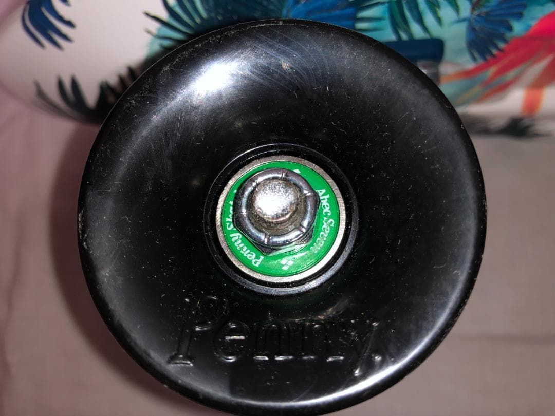 penny ペニー 22インチ SUBTROPICS 蓄光 ケース付