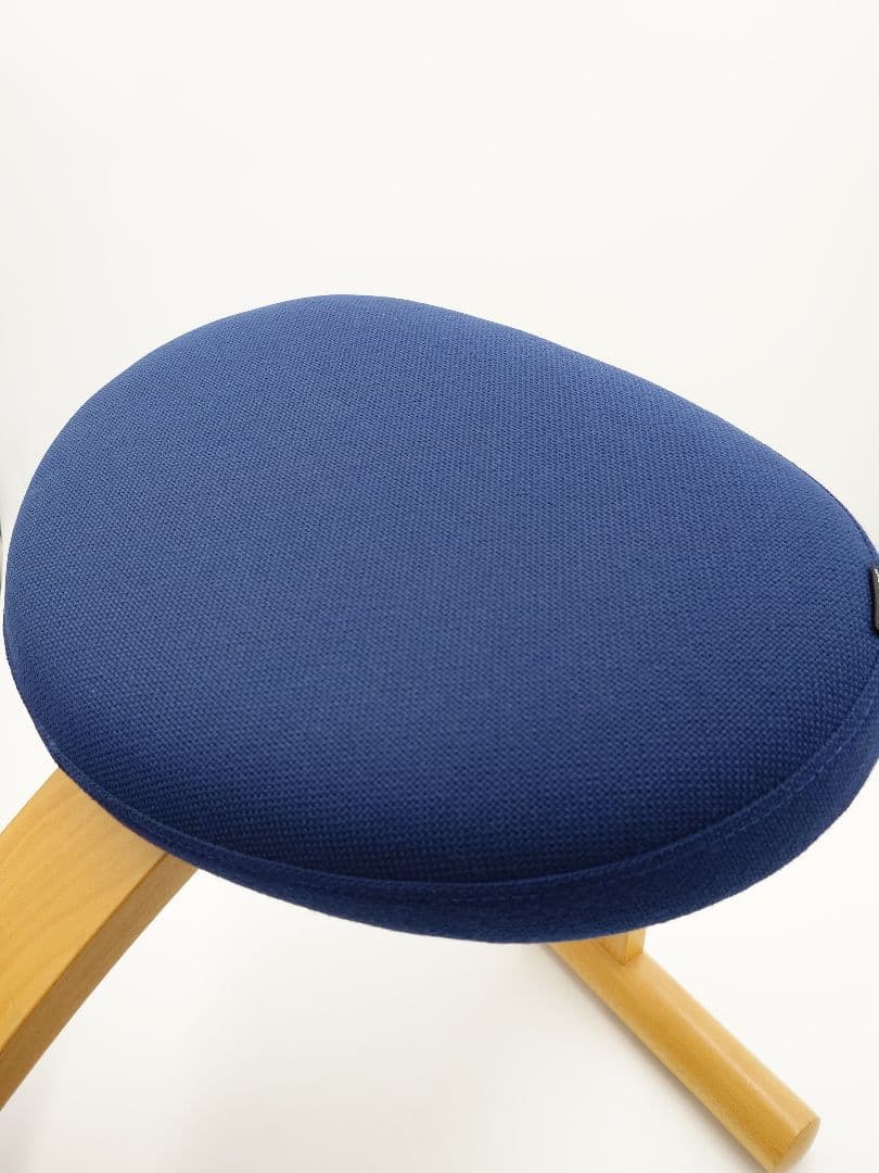 バランスイージー バランスチェア ネイビー サカモトハウス　カバー付き