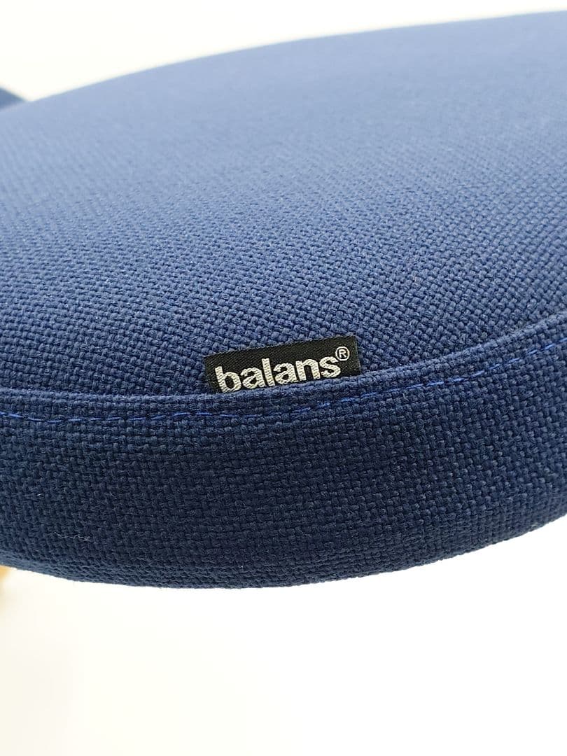 バランスイージー バランスチェア ネイビー サカモトハウス　カバー付き