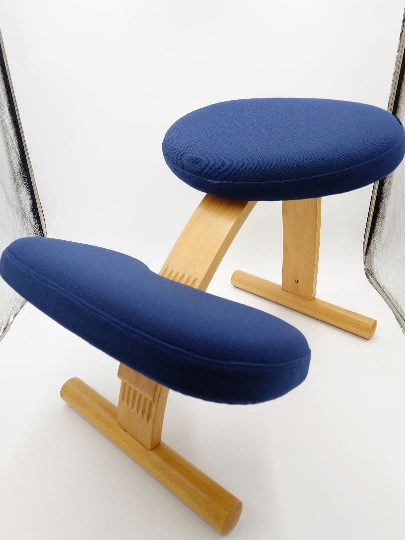 バランスイージー バランスチェア ネイビー サカモトハウス　カバー付き