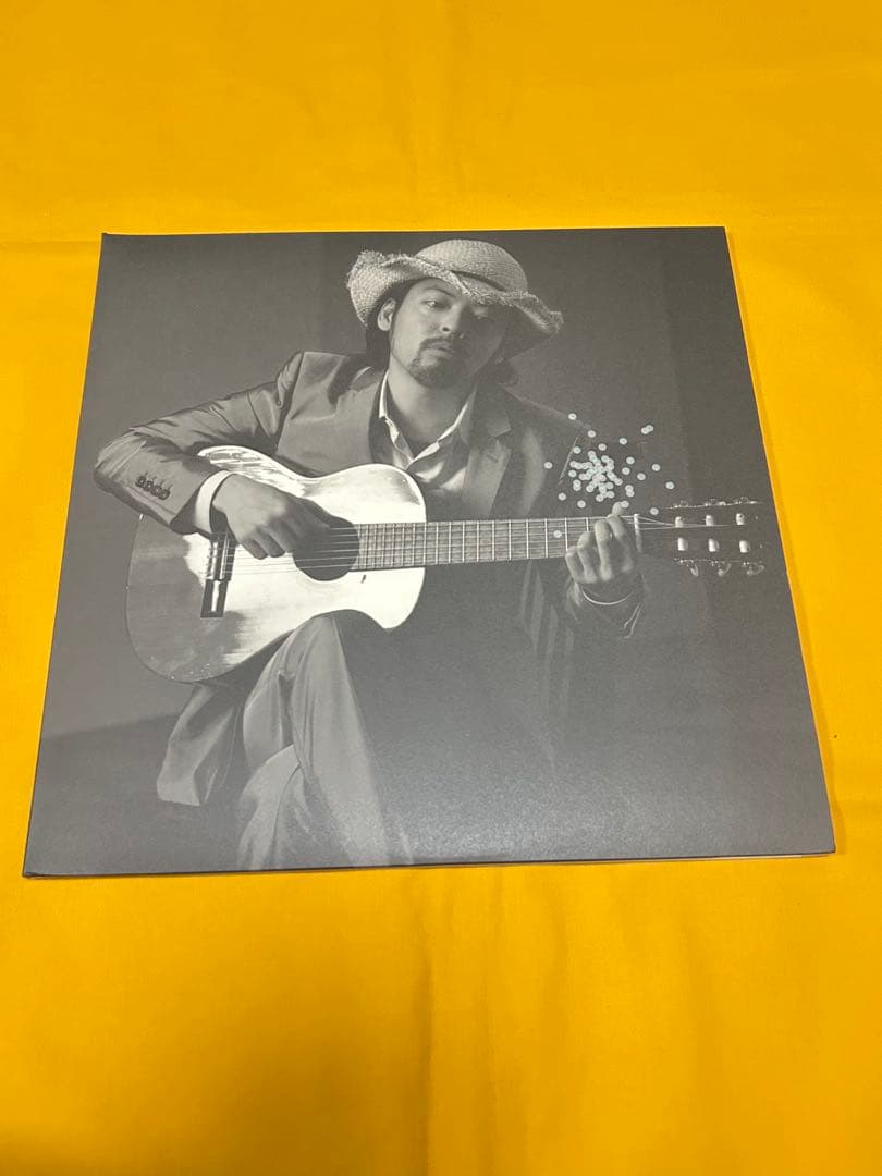 七尾旅人　リトルメロディ　アナログレコード