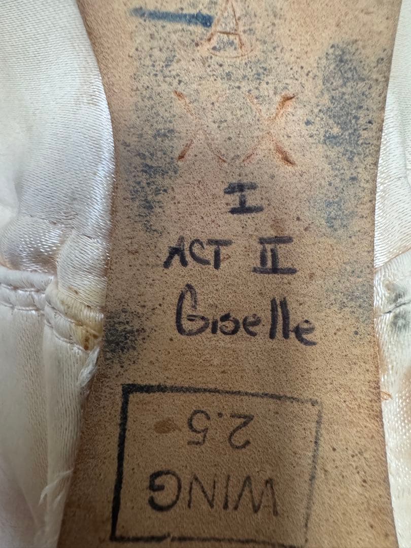 サイン入りトゥシューズ　マリアネラヌニェス　フリード